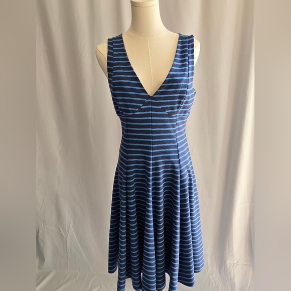 Peter Som Blue Striped Fit and Flare Sleeveless Dress Sz. 6 - Picture 3 of 11